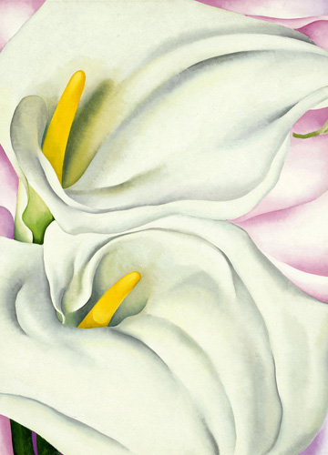 Georgia O'Keeffe, Two Calla Lilies on Pink, 1928