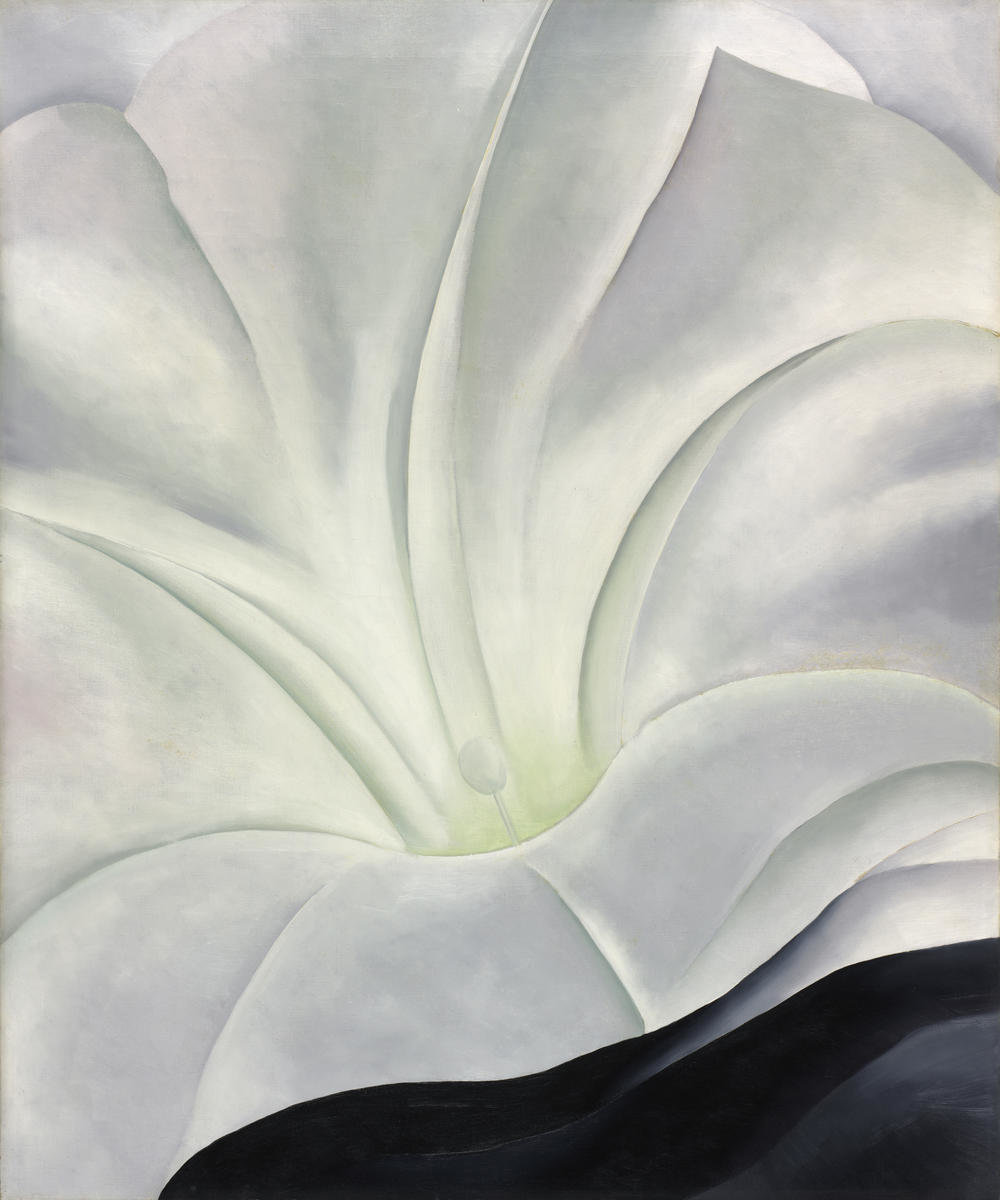 Morning Glory with Black, 1926 by Georgia O'Keeffe - Paper Print ...