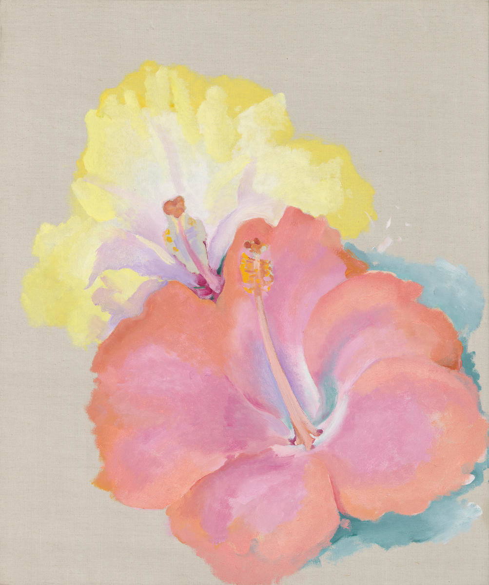 Untitled (Hibiscus), 1939 by Georgia O'Keeffe - Paper Print - Georgia  O'Keeffe Museum Custom Prints - Custom Prints and Framing From the Georgia  O'Keeffe Museum