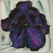 Georgia O'Keeffe - Untitled (Purple Petunia), 1925