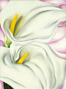 Georgia O'Keeffe - Two Calla Lilies on Pink, 1928