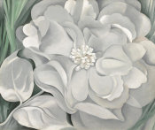 Georgia O'Keeffe - The White Calico Flower, 1931