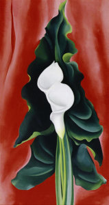 Georgia O'Keeffe - Calla Lilies on Red, 1928