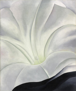 Georgia O'Keeffe - Morning Glory with Black, 1926