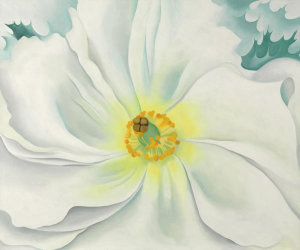 Georgia O'Keeffe - White Flower, 1929