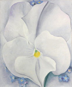 Georgia O'Keeffe - White Pansy, 1927