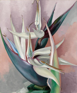 Georgia O'Keeffe - White Bird of Paradise, 1939