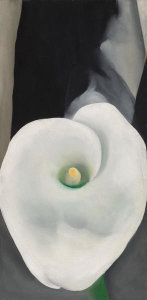 Georgia O'Keeffe - Calla Lily for Alfred, 1927