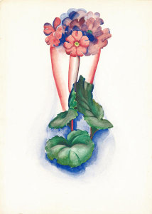 Georgia O'Keeffe - Untitled (Flowers in Vase), ca. 1930-1936