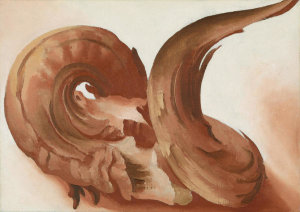 Georgia O'Keeffe - Horns, 1943