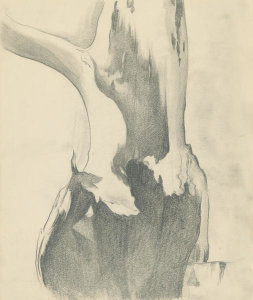 Georgia O'Keeffe - Untitled (Tree), ca. 1940s