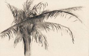 Georgia O'Keeffe - Palm Tree, 1976