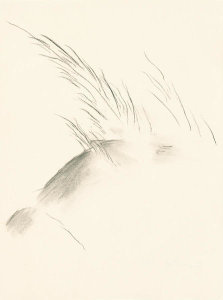 Georgia O'Keeffe - Mesa with Branch Outline, 1978