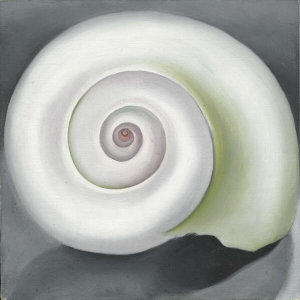 Georgia O'Keeffe - Shell No. I, 1928