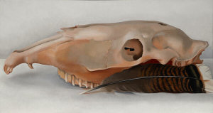 Georgia O'Keeffe - Horizontal Horse's or Mule's Skull with Feather, 1936