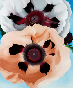 Georgia O'Keeffe - Poppies, 1950