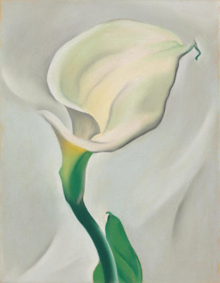 Georgia O'Keeffe - Calla Lily Turned Away, 1923