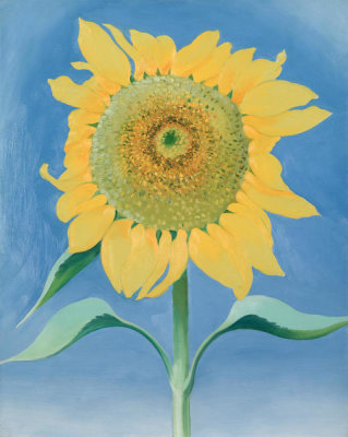 Georgia O'Keeffe - Sunflower, New Mexico 1, 1935