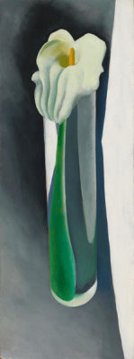 Georgia O'Keeffe - Calla Lily in Tall Glass - No. 2, 1923