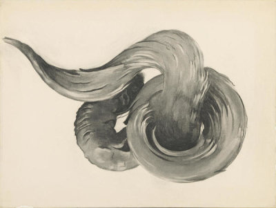 Georgia O'Keeffe - Ram's Horns I, ca. 1949