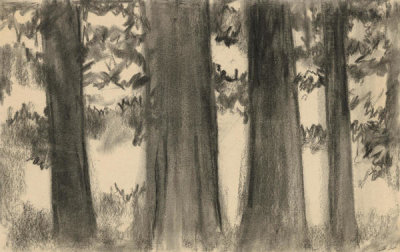 Georgia O'Keeffe - Untitled (Redwoods Big Sur), 1976
