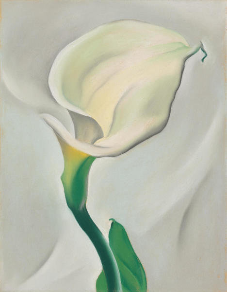 Calla Lily Turned Away, 1923 by Georgia O'Keeffe - Paper and Canvas ...