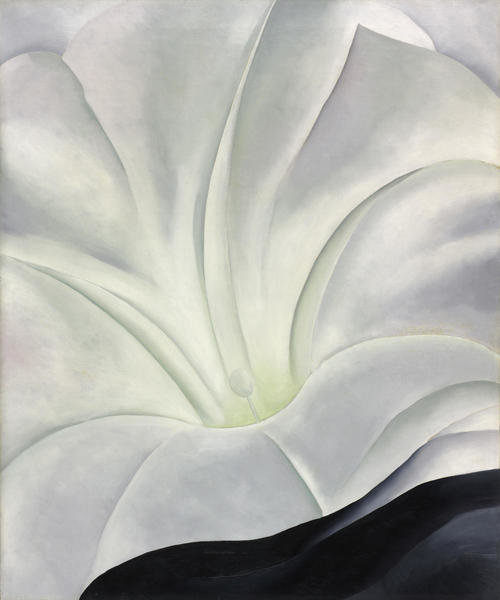 Morning Glory with Black, 1926 by Georgia O'Keeffe - Paper and Canvas ...