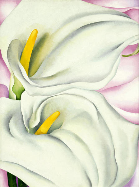 Two Calla Lilies on Pink, 1928 by Georgia O'Keeffe - Paper and Canvas ...